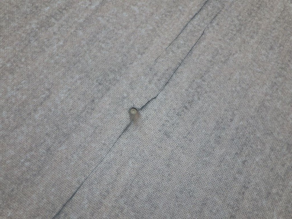 画像大 15枚目