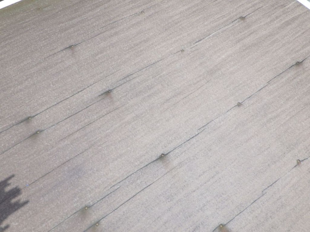 画像大 16枚目