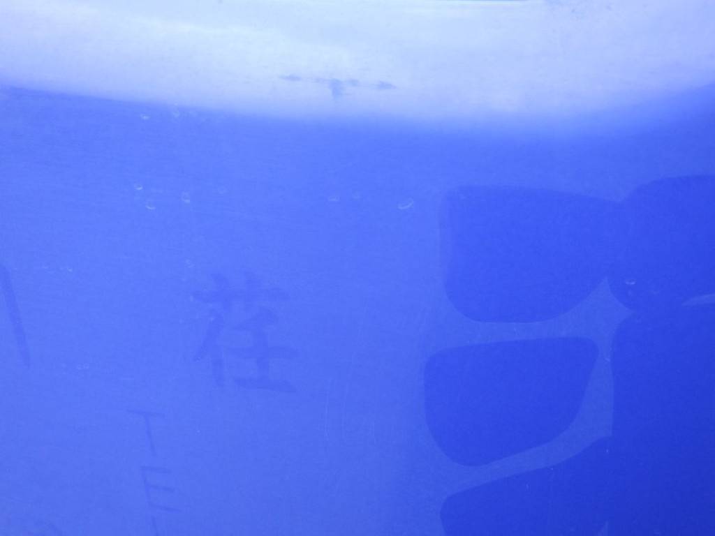 画像大 19枚目