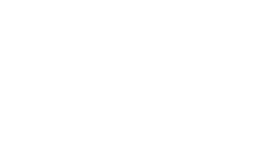 流閃 ロゴ
